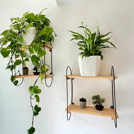 Luxury In Kyrenia Кирения