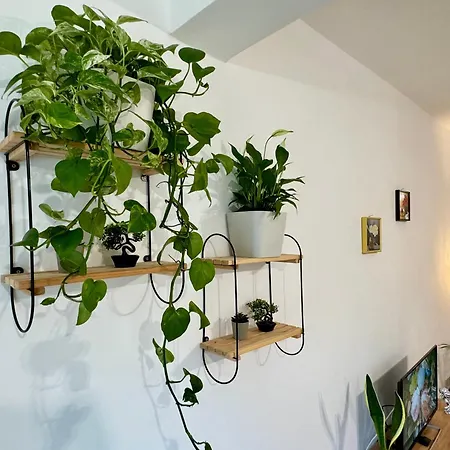 Luxury In Kyrenia קיירניה