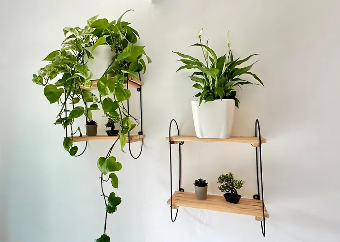 Luxury In Kyrenia Kyrenia (Northern Cyprus)